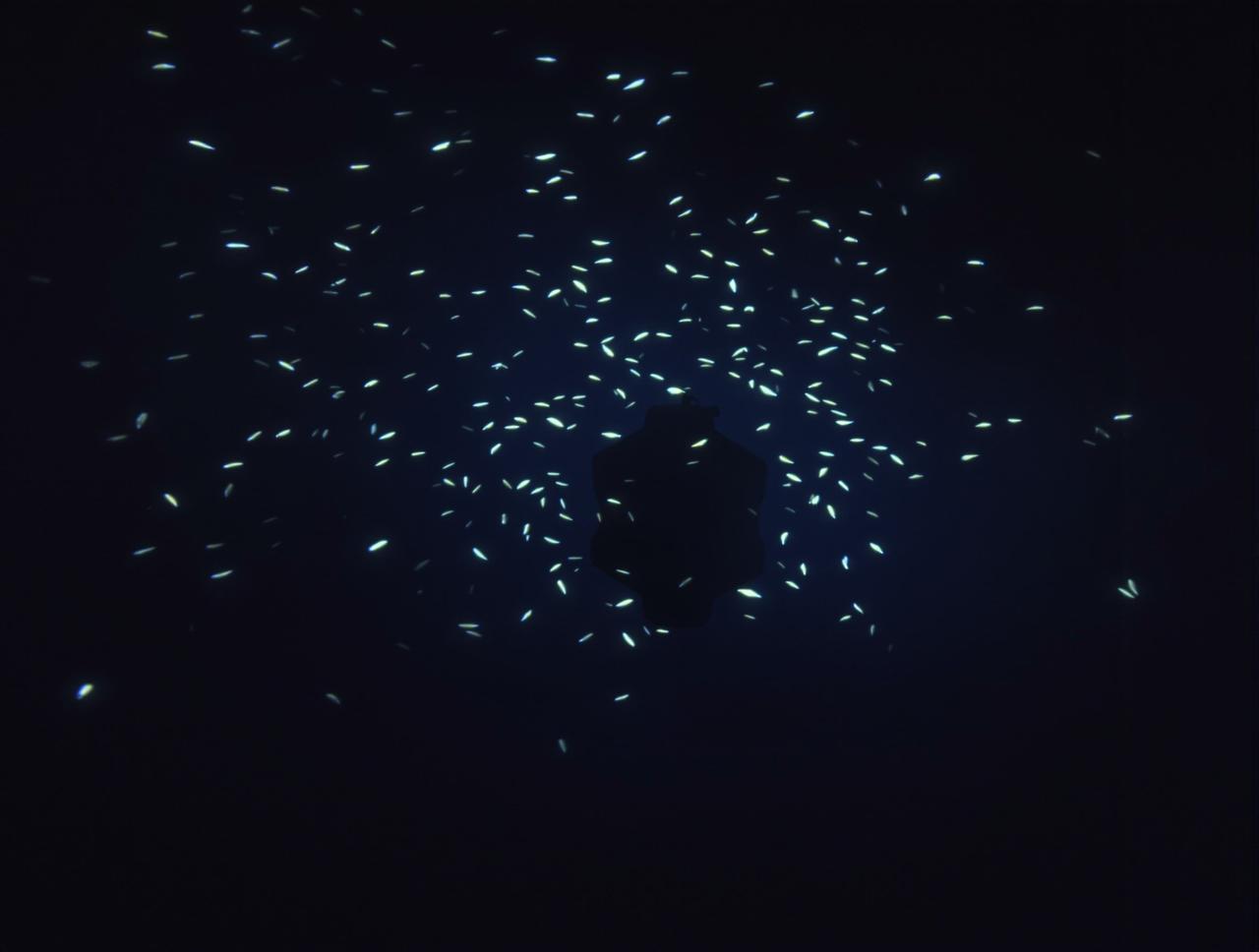 露谷影院纪录片:深海探秘观后感分享